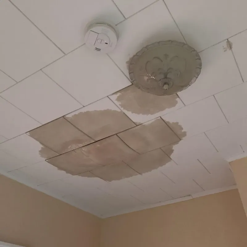 Ceiling Water Damage Repair in Alfalfa County, OK
